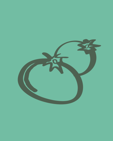 Iconen website Tekengebied 1 kopie 2